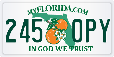 FL license plate 2450PY