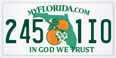 FL license plate 2451IO