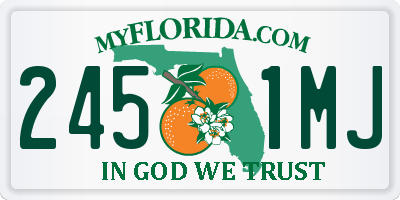 FL license plate 2451MJ
