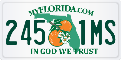 FL license plate 2451MS