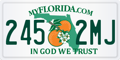 FL license plate 2452MJ