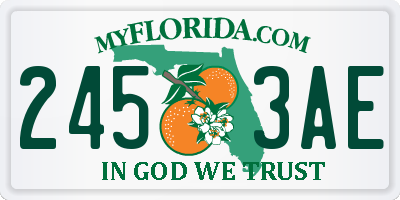 FL license plate 2453AE