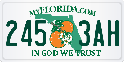 FL license plate 2453AH
