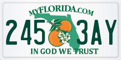 FL license plate 2453AY