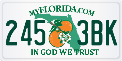 FL license plate 2453BK