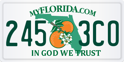 FL license plate 2453CO