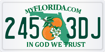 FL license plate 2453DJ
