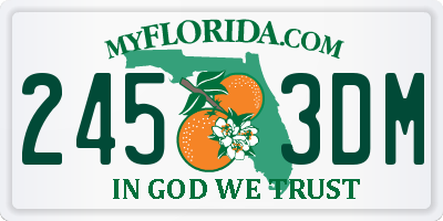 FL license plate 2453DM