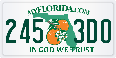 FL license plate 2453DO