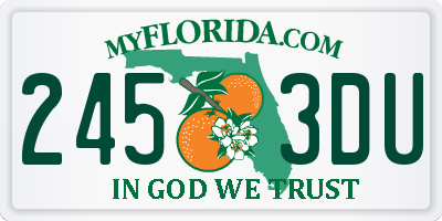 FL license plate 2453DU