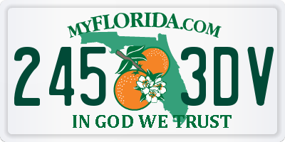 FL license plate 2453DV