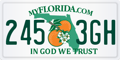 FL license plate 2453GH