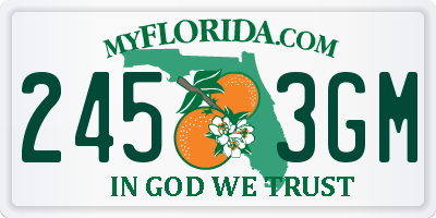 FL license plate 2453GM