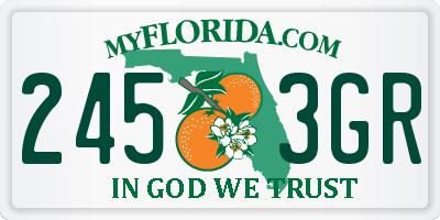 FL license plate 2453GR