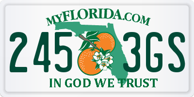 FL license plate 2453GS