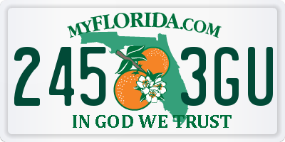 FL license plate 2453GU