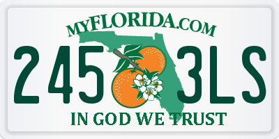 FL license plate 2453LS