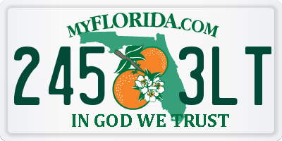 FL license plate 2453LT