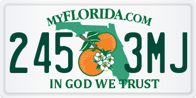 FL license plate 2453MJ