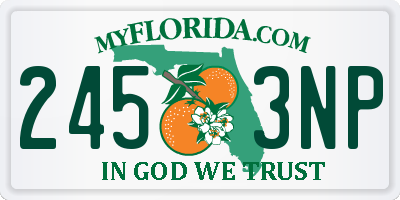 FL license plate 2453NP