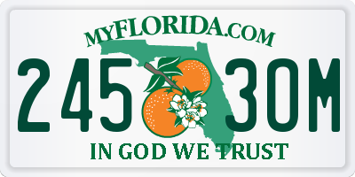 FL license plate 2453OM