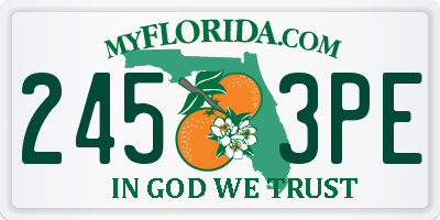 FL license plate 2453PE