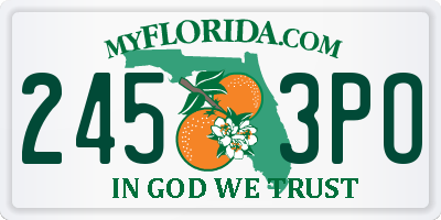 FL license plate 2453PO