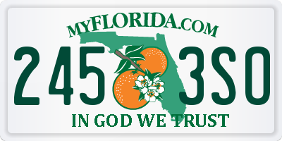 FL license plate 2453SO