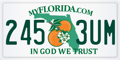 FL license plate 2453UM