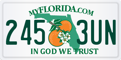 FL license plate 2453UN