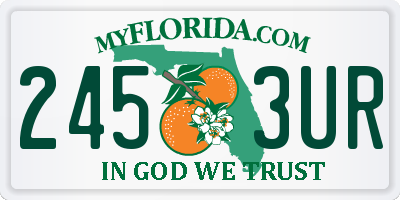FL license plate 2453UR