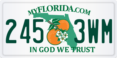 FL license plate 2453WM