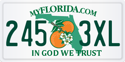 FL license plate 2453XL