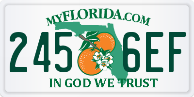 FL license plate 2456EF