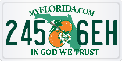 FL license plate 2456EH