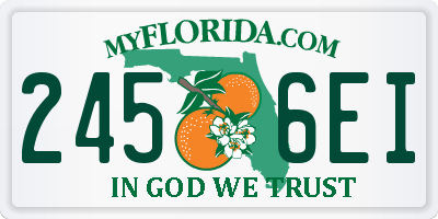 FL license plate 2456EI