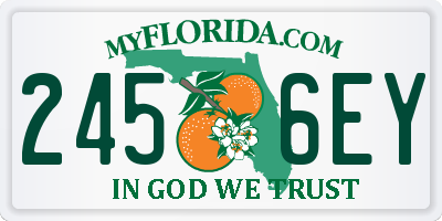 FL license plate 2456EY