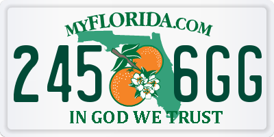 FL license plate 2456GG