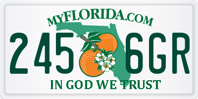 FL license plate 2456GR