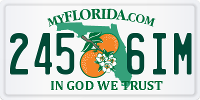FL license plate 2456IM