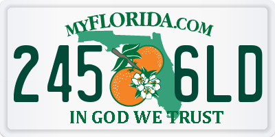 FL license plate 2456LD