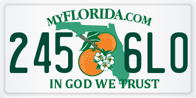 FL license plate 2456LO