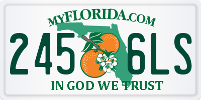 FL license plate 2456LS