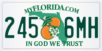 FL license plate 2456MH