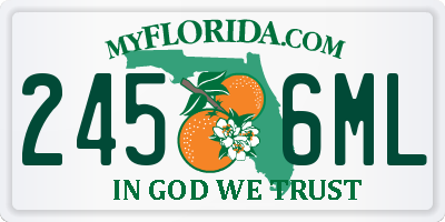 FL license plate 2456ML