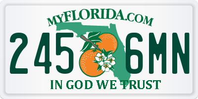 FL license plate 2456MN