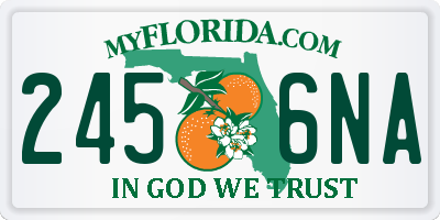 FL license plate 2456NA