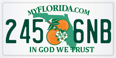 FL license plate 2456NB