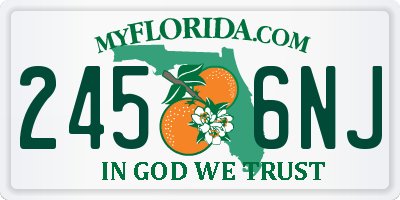 FL license plate 2456NJ