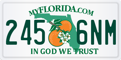 FL license plate 2456NM